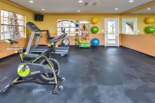 Photo - Goldelm at Valencian