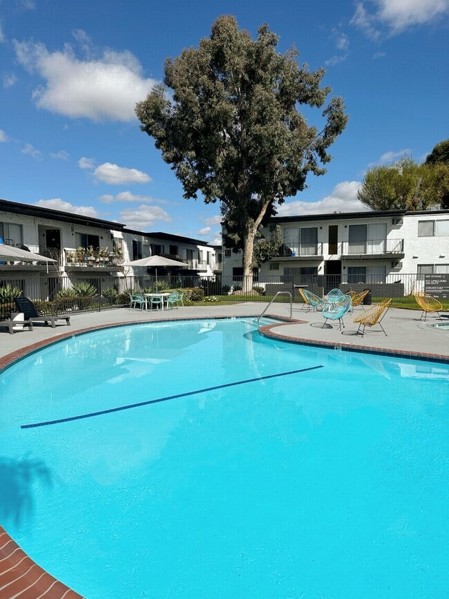 Photo - Latitude Apartments at Mission Valley