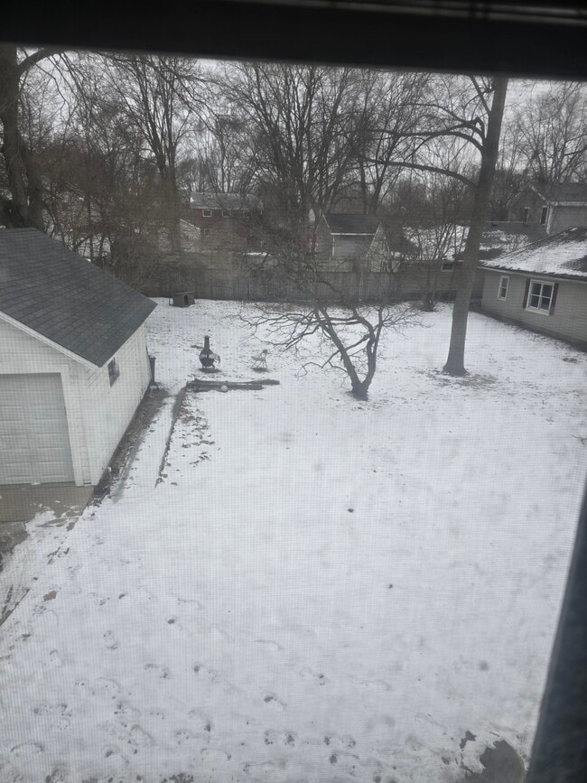 Back Yard - 515 Houston St Unit Upper