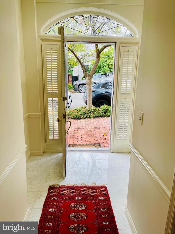 Photo - 107 Wolfe St