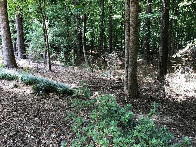 Photo - 105 Galecrest Dr