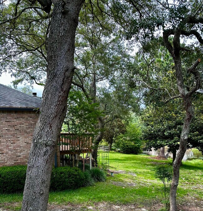 Photo - 109 Dominica Way