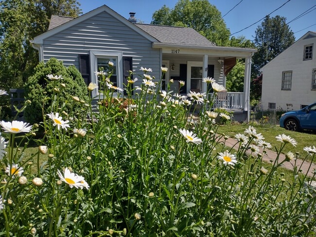 Building Photo - 1147 Meriwether St