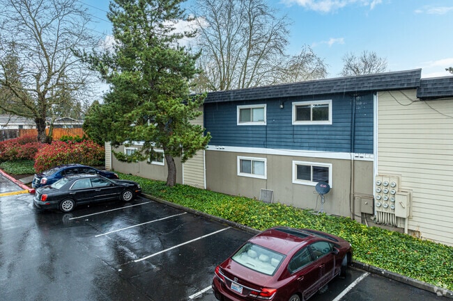 Photo - Rainier Crest