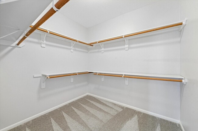 Photo - 12019 Costa Del Rey Ct