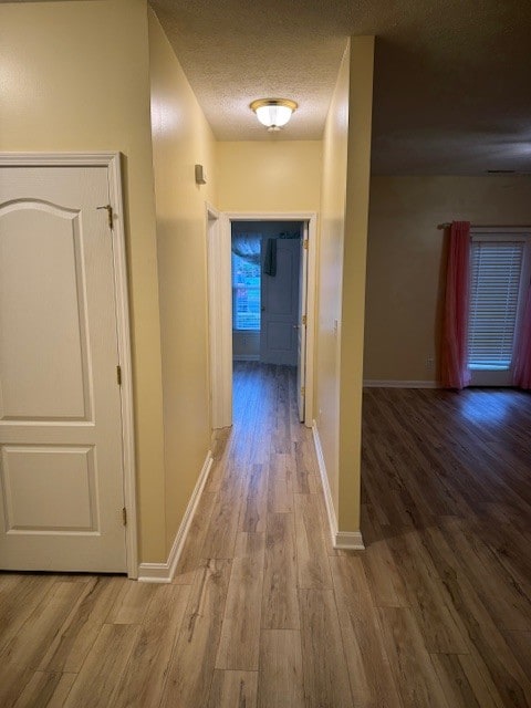 Photo - 9415 Magnolia Ridge Dr Unidad 101