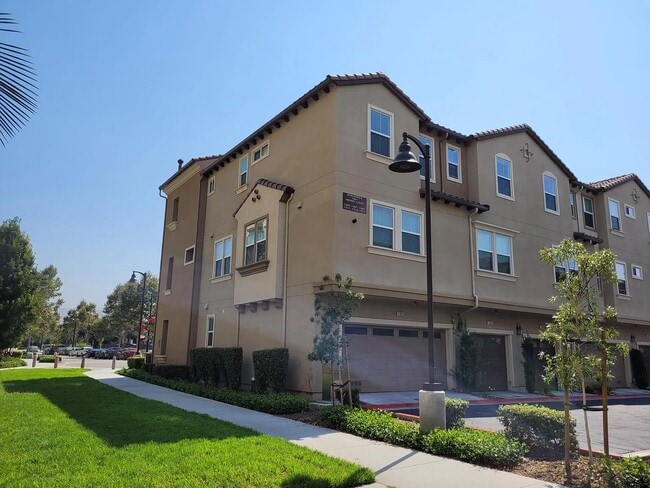 1305 Merry Loop