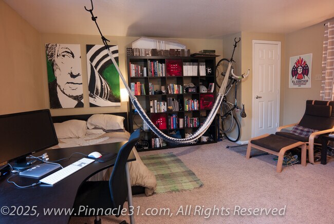 Pinnacle 31