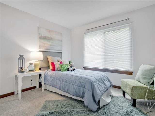 Photo - 1517 Porters Mill Ln