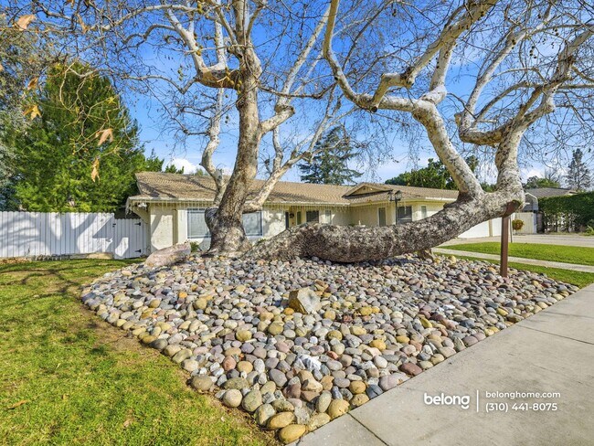 Photo - 22243 Craggyview St