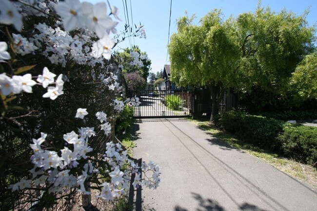 Building Photo - Updated ground-floor 1-bed 1-bath garden apartment in a gated property near N Berkeley BART Unit 1228 B