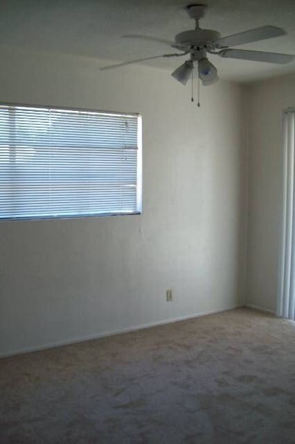 Photo - 1429 W 6th St