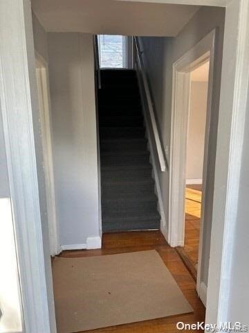 Photo - 9 Grange St