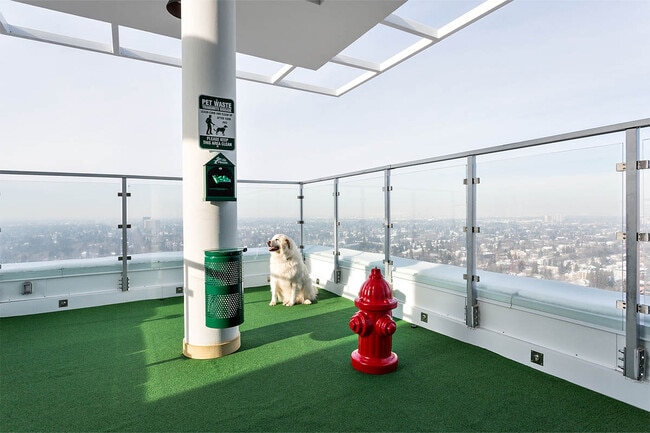 Photo - The MacLaren