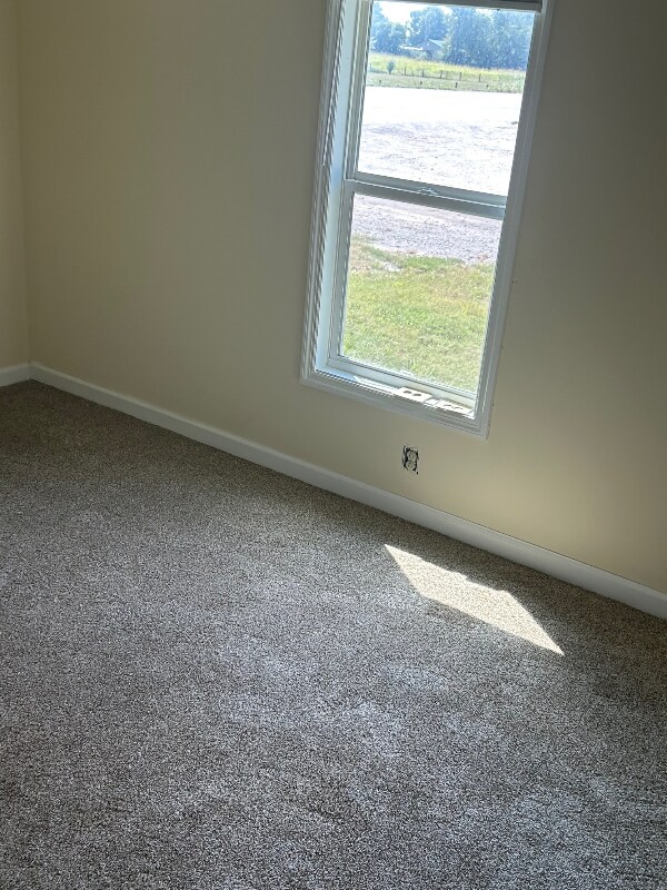 Photo - 3790 Hwy 431