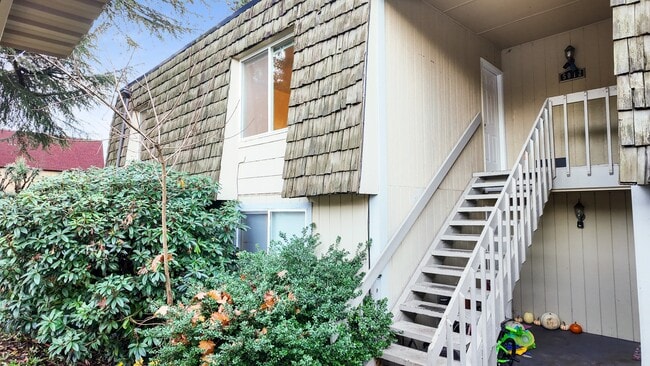 Photo - Spacious Apartment in Cozy Tacoma Neighborhood Unidad C