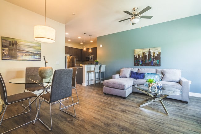 MaCallister Scottsdale