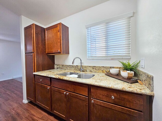 Photo - Shady Terrace