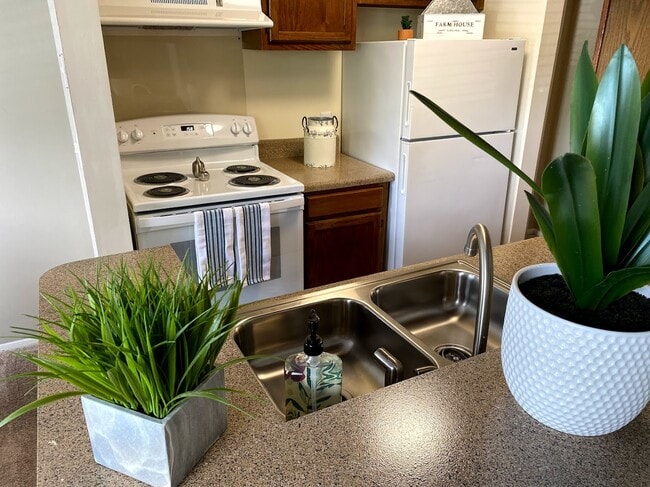 Photo - The Summit at Cane Ridge