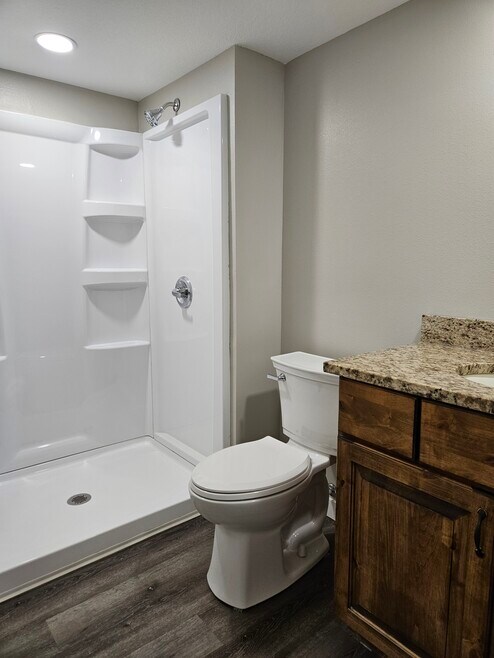 Lower level bathroom