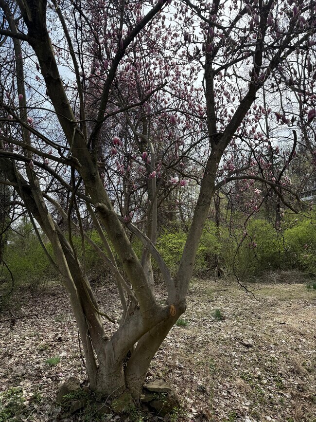 Photo - 4128 Jordan St Unit 4128 Jordan St