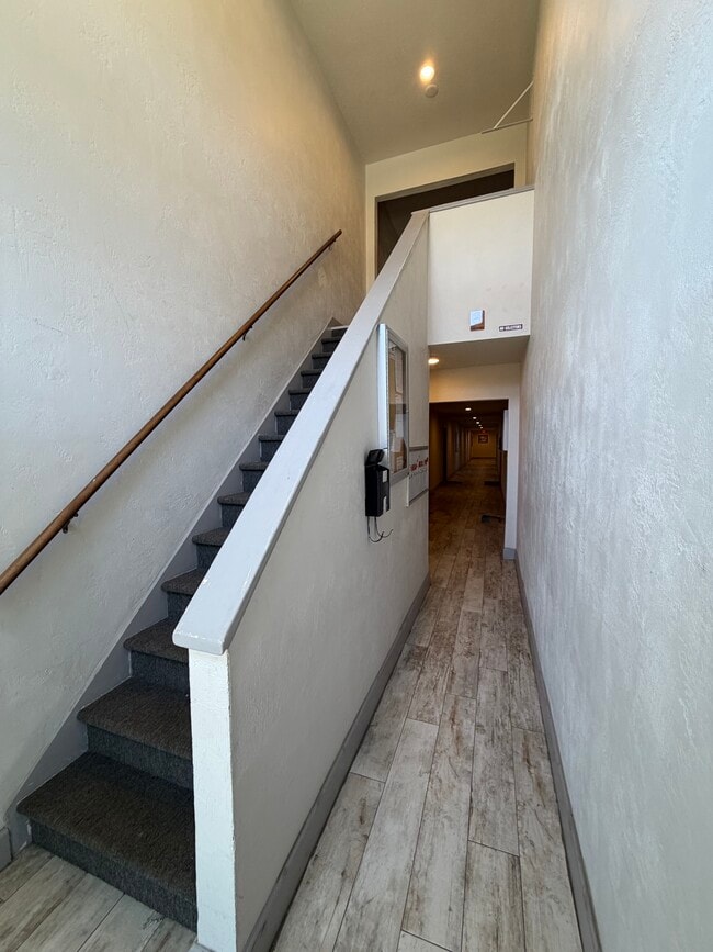 3800 Saxon Dr