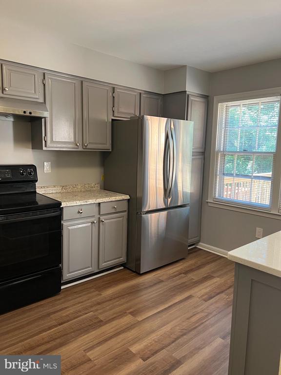 Building Photo - 2915 Mozart Dr