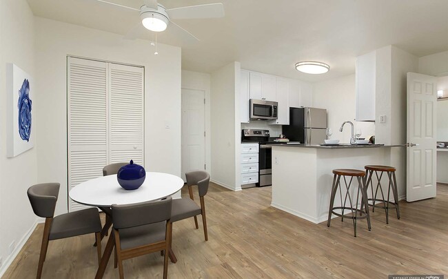 Modern Apartment Kitchen and Dining Area