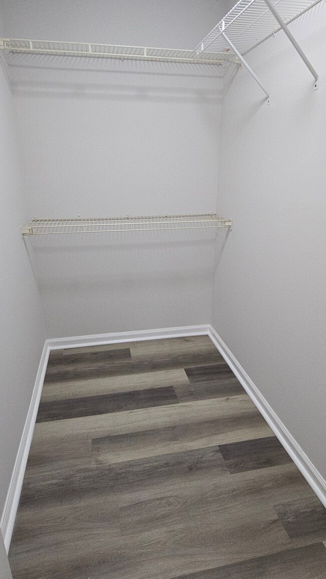 Photo - Elmtree Apartments