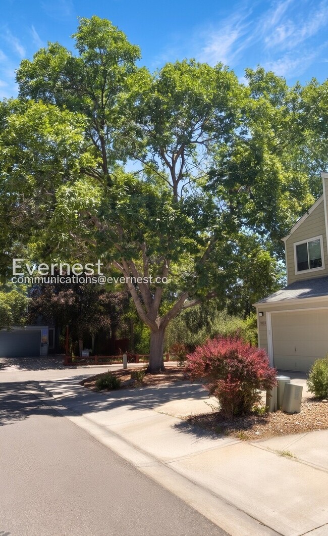 Photo - 4121 Amber St