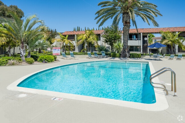 Pool and Spa - Park Pacific