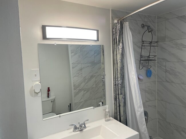 Fully remodeled tile bathroom - 719 East Fremont Street Unit APT #1
