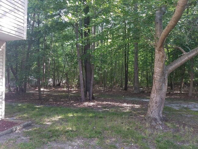 Photo - 31 Sally Ann Pl