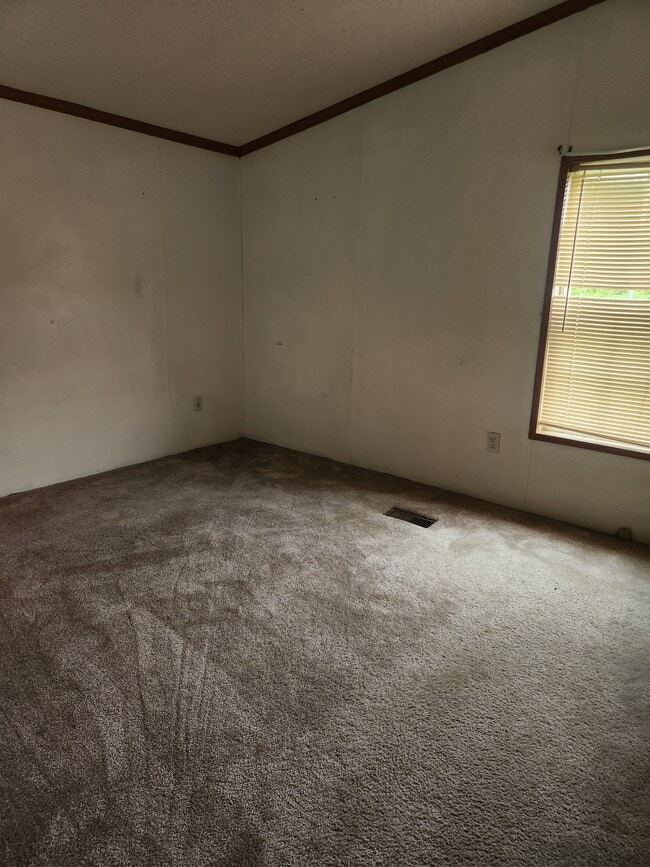 Photo - 124 Phillips St