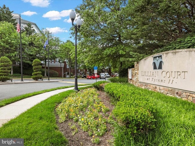 Building Photo - 1645 International Dr Unit 203 Rental