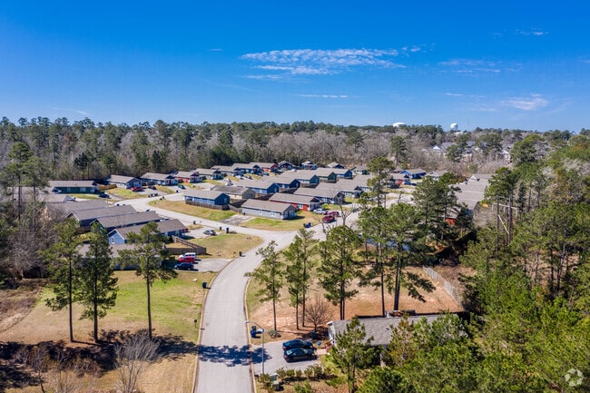 Aerial - Sam Houston Village II