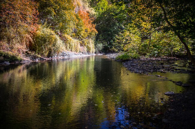 Creek near house.