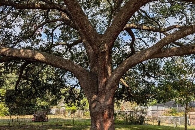 Photo - 6033 NW 33 St