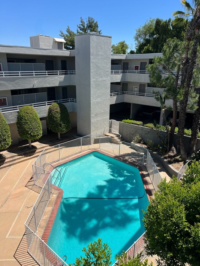 Encino Voltaire