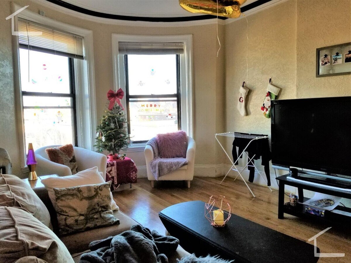 Cute 2 bed 1 bath in Boston's vibrant Sout... - Cute 2 bed 1 bath in Boston's vibrant Sout...