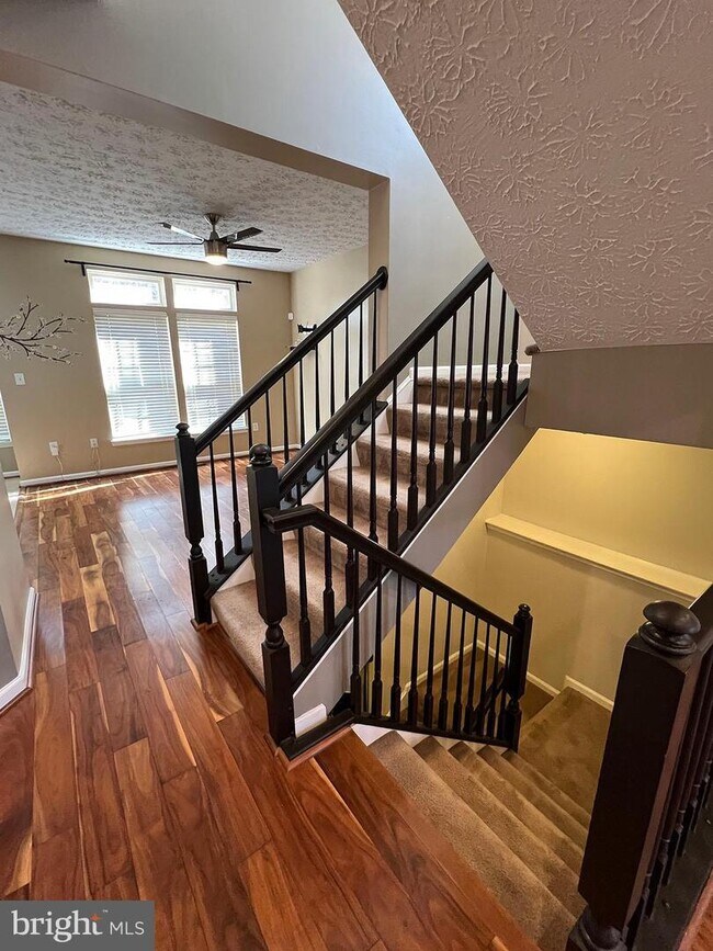 Photo - 8334 Lyndhurst St
