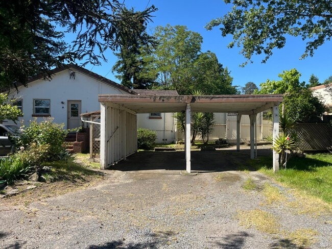 Photo - 20 Eucalyptus Rd