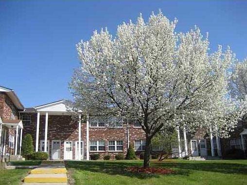 Photo - 276 Temple Hill Rd Condo Unit 1109