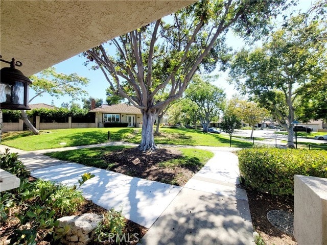 Building Photo - 5155 Thorn Tree Ln