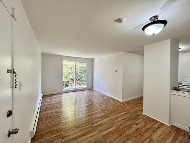 Photo - 91 Larkhall St