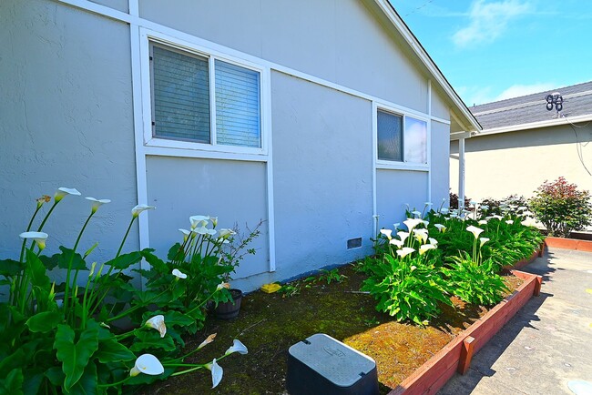 Photo - $3490 / 3 BED, 2 BATH BEAUTIFUL SUNDALE HOME