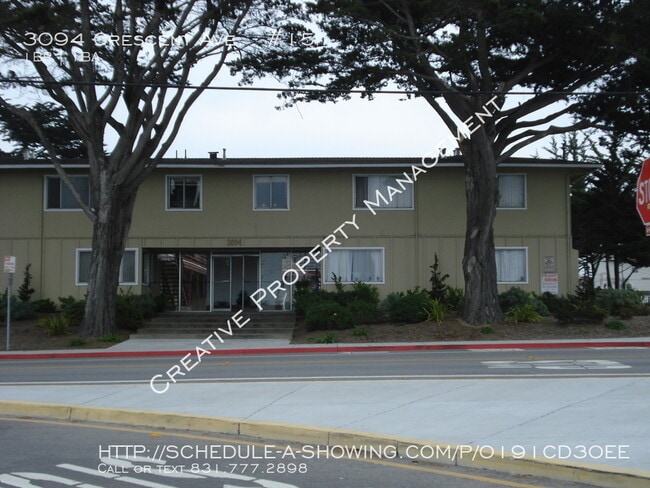 Photo - 1 Bedroom Apartment in Marina Unidad #15