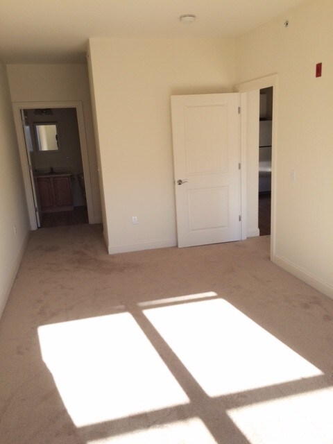 Photo - 20 Carmichael St