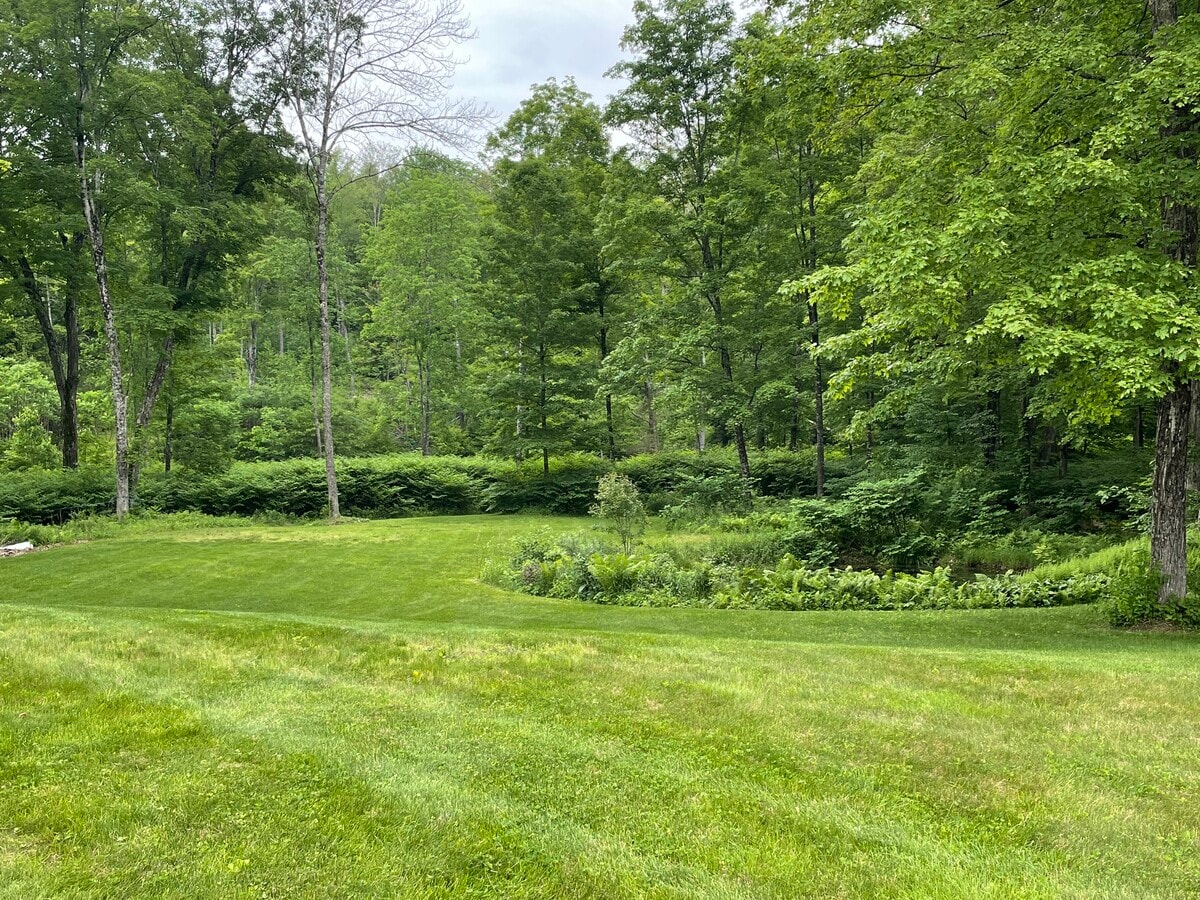 Photo - 47 Lower Cemetery Rd