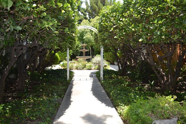 Courtyard Garden